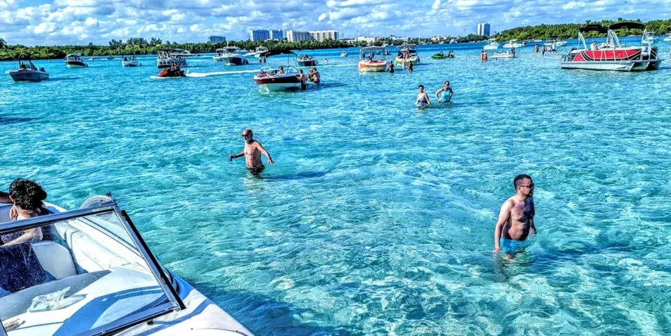 Vibrant Sandbar: A Hidden Gem in Coastal Ecosystems